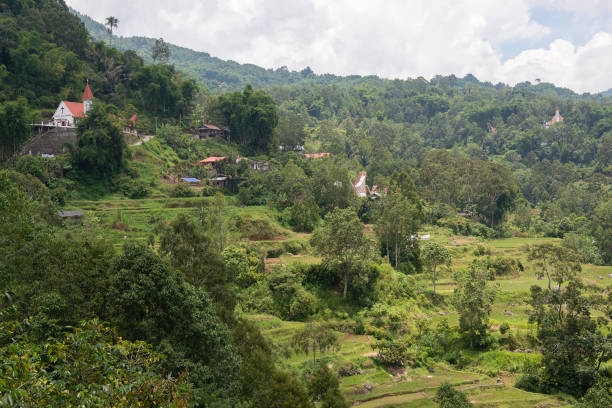 istock Green and brown rice terrace fields in Tana Toraja 1138523098