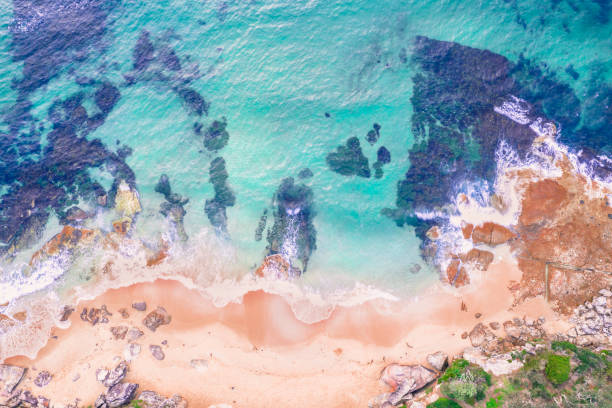 istock Aerial top down of cronulla beach coast 1138528511