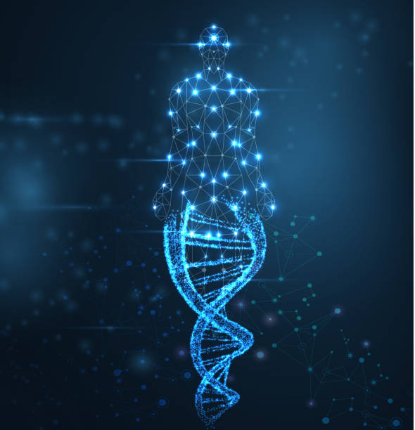 blauer abstrakter hintergrund mit leuchtendem dna-molekül, neonhelix und menschlichem körper. - biochemie stock-grafiken, -clipart, -cartoons und -symbole