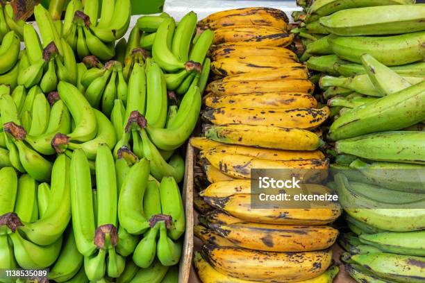 Different Kinds Of Bananas Stock Photo - Download Image Now - Plantain, Brixton, Banana