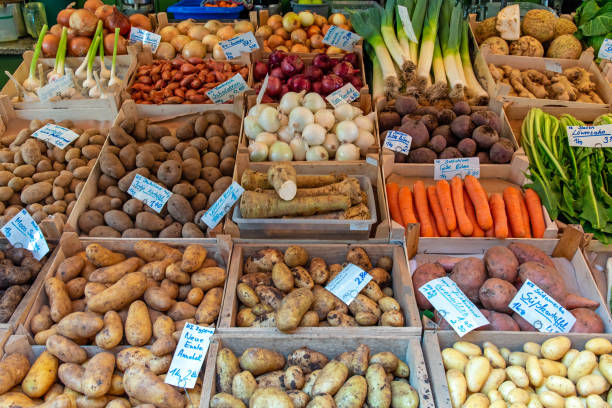 istock Different kinds of potatoes and other vegetables 1138535093