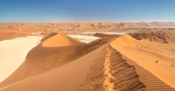 Hiking up the famous Big Daddy Sand Dune, Sossusvlei, Namib Desert, Namibia. With its 325m it is one of the highest Sand Dunes in the world. You can see the famous Dead Vlei on the left clay bed. Nikon D850. Converted from RAW. Huge Panorama.