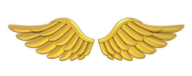 istock Golden Angel Wings Isolated 1138539677