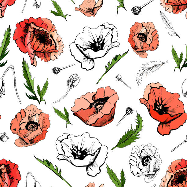 Red Poppy Tattoo Stock Photos, Pictures & Royalty-Free Images - iStock