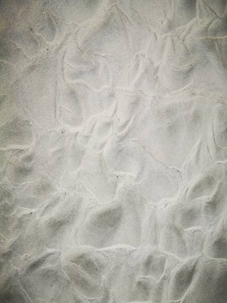 istock Background and macro shot of sandy beach. 1138541726