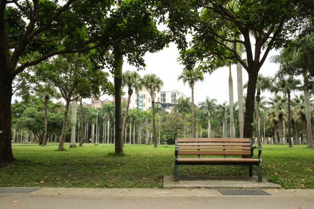 istock The view in the park. Spring scenery in Asia. 1138544421