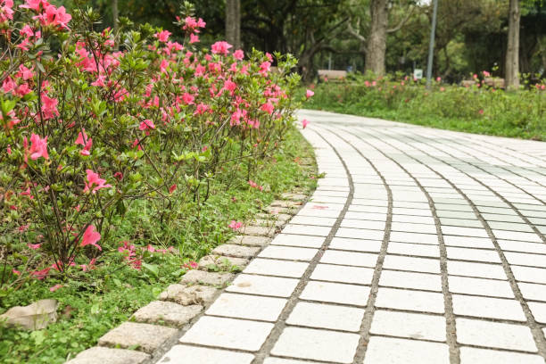 istock The view in the park. Spring scenery in Asia. 1138544434