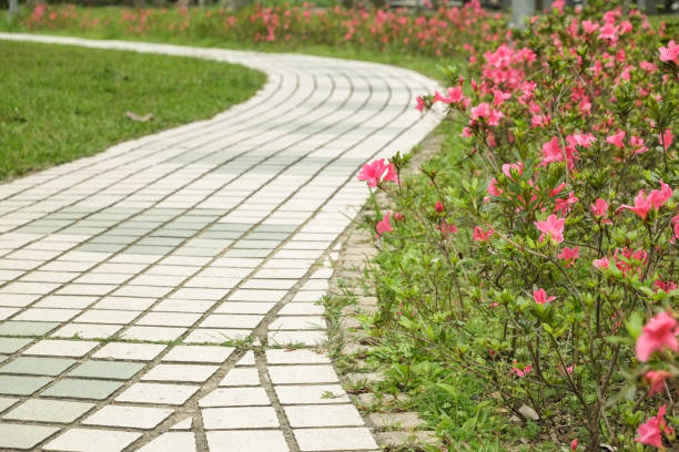 istock The view in the park. Spring scenery in Asia. 1138544436
