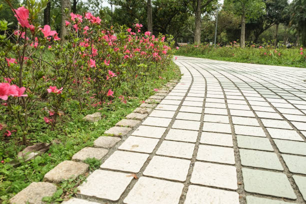 istock The view in the park. Spring scenery in Asia. 1138544438