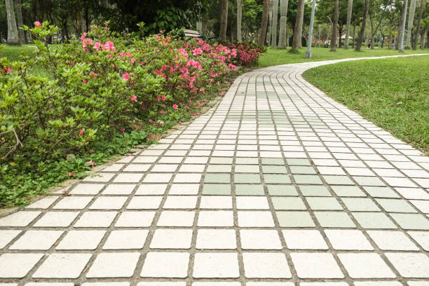 istock The view in the park. Spring scenery in Asia. 1138544469