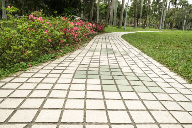 istock The view in the park. Spring scenery in Asia. 1138544471