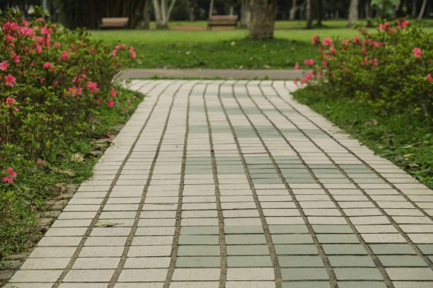 istock The view in the park. Spring scenery in Asia. 1138544480
