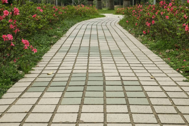 istock The view in the park. Spring scenery in Asia. 1138544494