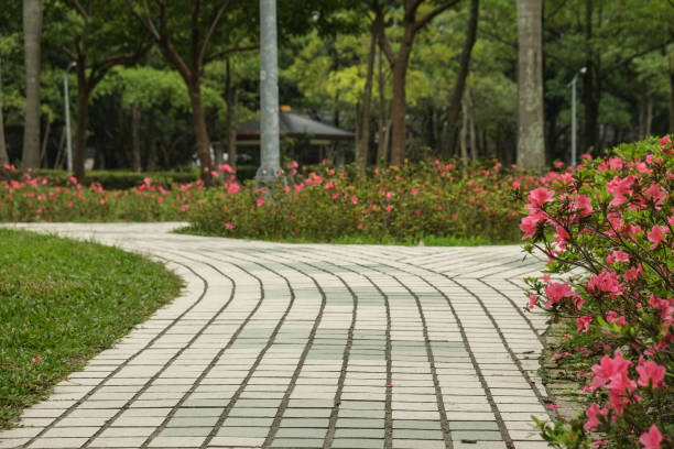 istock The view in the park. Spring scenery in Asia. 1138544502