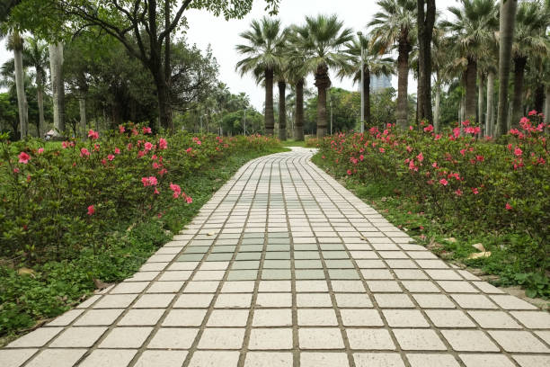 istock The view in the park. Spring scenery in Asia. 1138544528