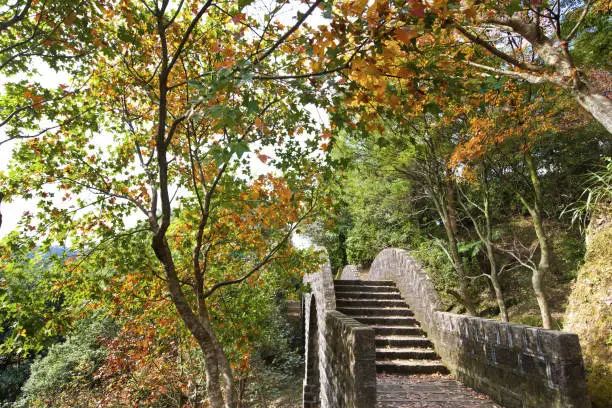 Xizhi;Gongbei Temple