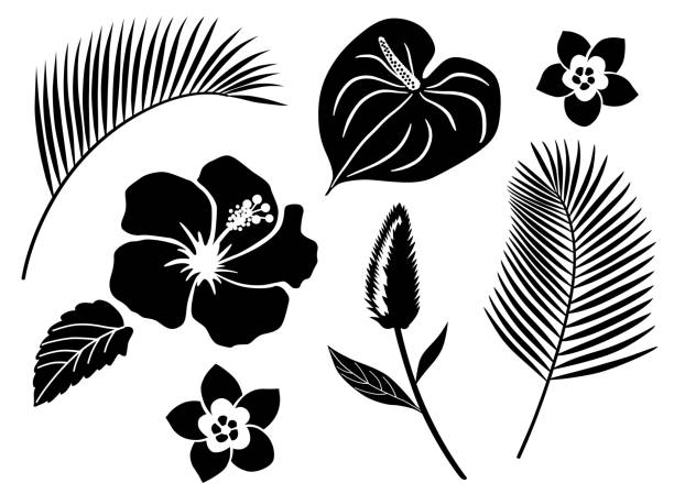 bildbanksillustrationer, clip art samt tecknat material och ikoner med tropisk blomma ikon uppsättning - japansk paradis ö