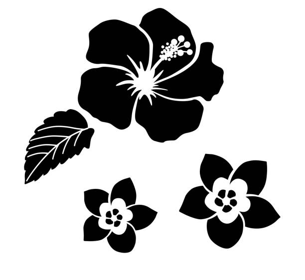 ilustraciones, imágenes clip art, dibujos animados e iconos de stock de conjunto de ilustraciones de flores tropicales - guam