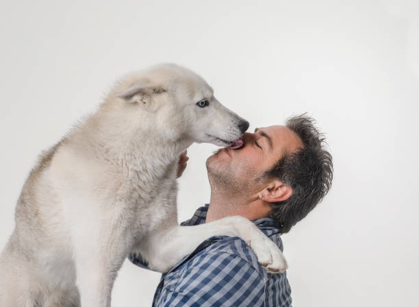 istock Happy caucasian man with husky dog 1138546898