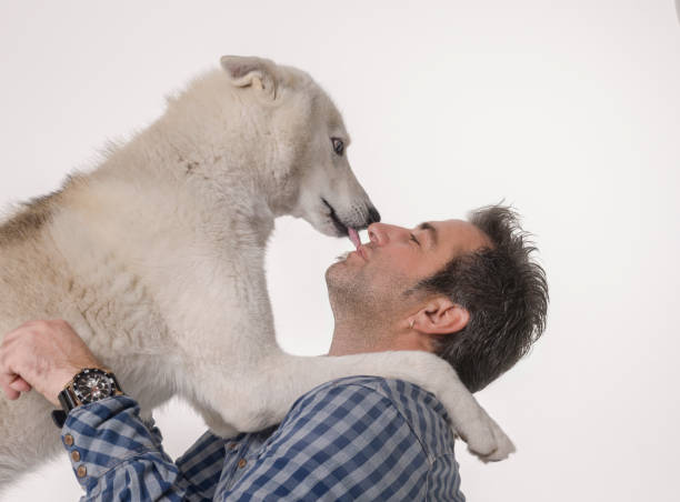Happy caucasian man with husky dog over white background