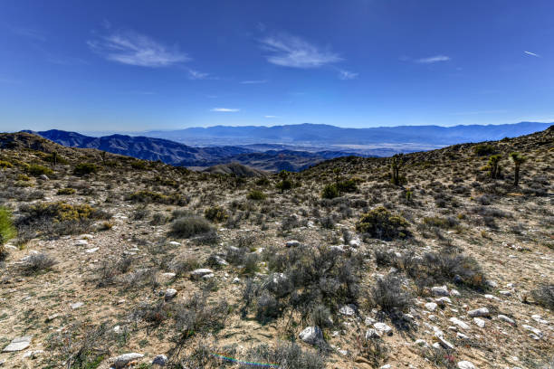 istock Keys View - Joshua Tree National Park 1138548171