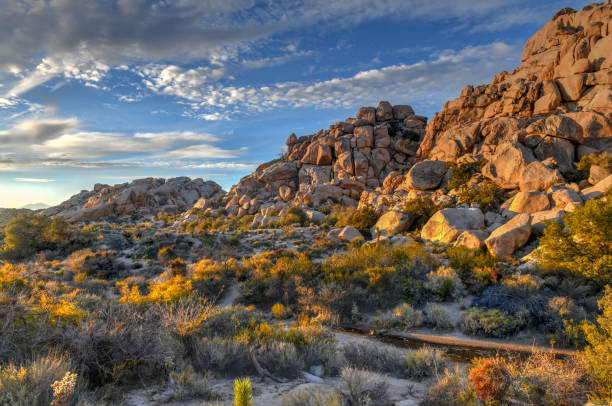 istock Barker Dam - Joshua Tree National Park 1138548323