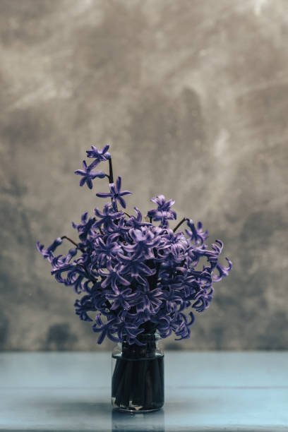 istock Purple hyacinth flower in vase. 1138549649
