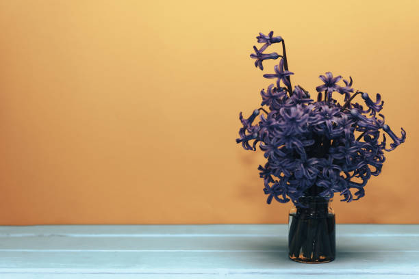 istock Purple hyacinth flower in vase. 1138549658