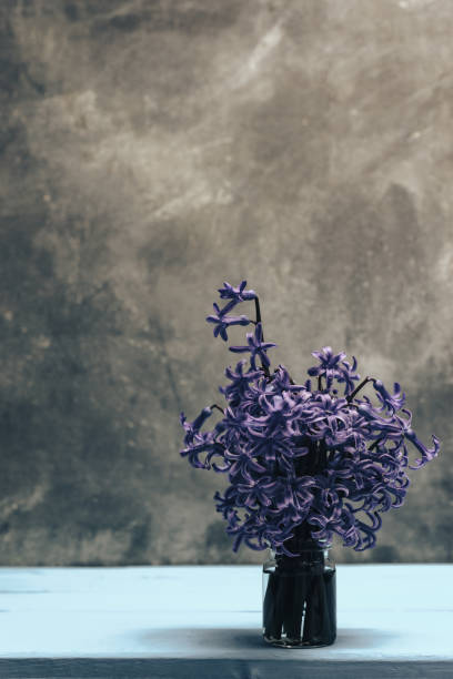 istock Purple hyacinth flower in vase. 1138549698