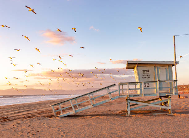 lifeguard towers-southern california beach - playa de santa mónica los ángeles california fotografías e imágenes de stock