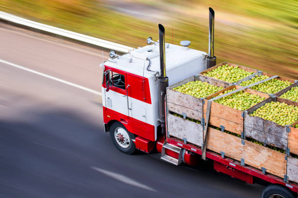 Old cab over big rig semi truck transporting pears in wooden boxes on flat bed semi trailer Old fashion bonnet cab-over professional big rig semi truck with vertical chrome exhaust pipes transporting boxes with pears secured with slings on flat bed semi trailer running on the marked road food delivery stock pictures, royalty-free photos & images