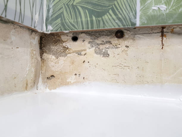 istock Repair - building with tools bath glued on silicone or sealant 1138550890