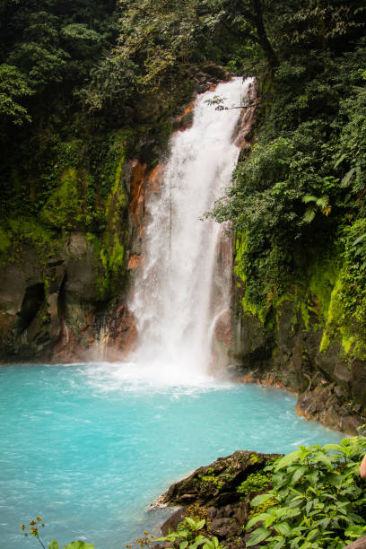 rio celeste wasserfall - costa rica waterfall heaven rainforest stock-fotos und bilder