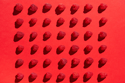 Fresh ripe raspberries in rows lying on red background