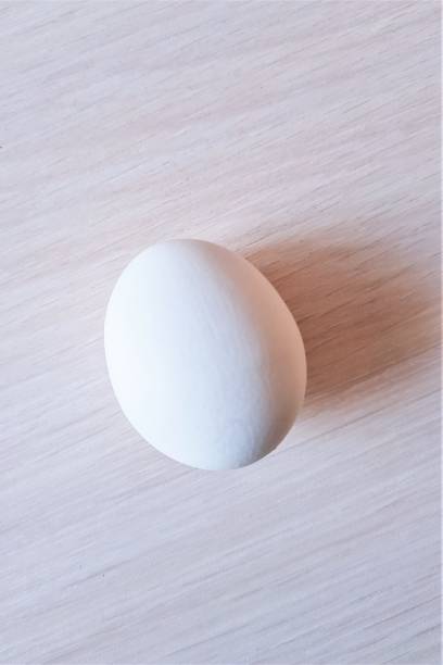 istock The white egg lies on the table. 1138555503