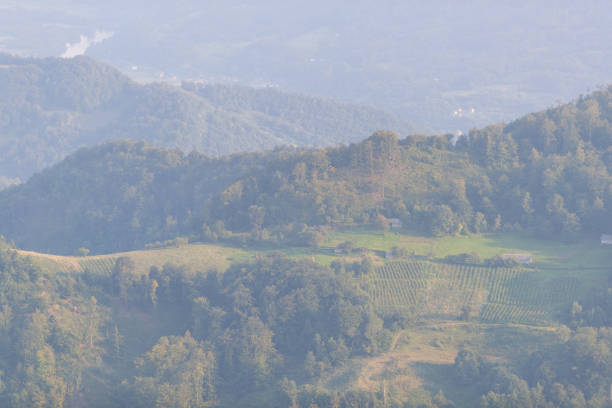 istock Cultivated land in the tree area on a hill 1138555596