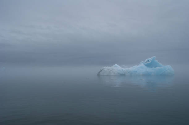 Icebergs on Lake Jökulsárlón in the Vatnajökull National Park on a foggy day stock photo