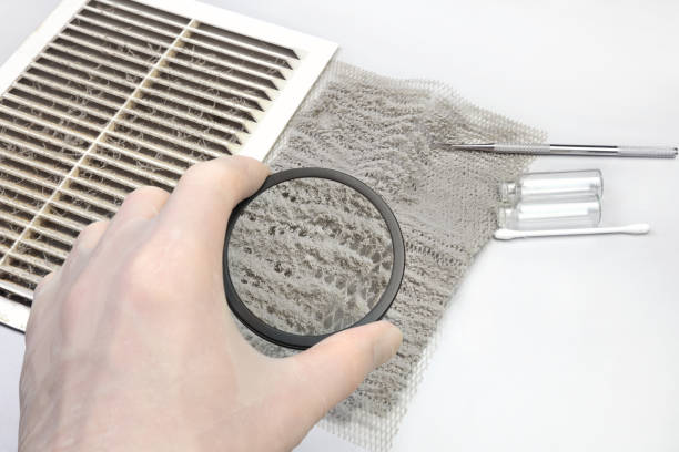 istock Inspection of ventilation dust under a magnifying glass. 1138557760
