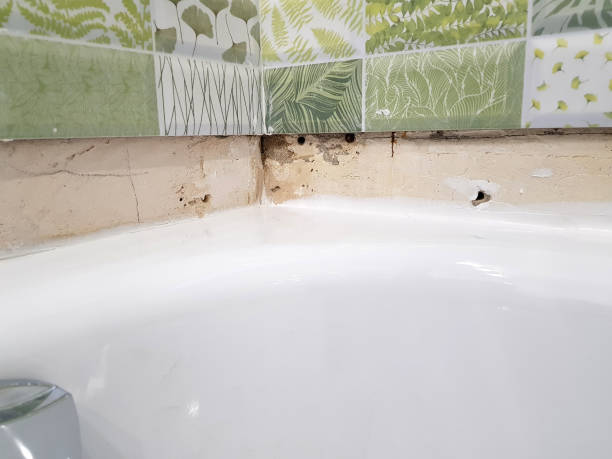 istock Repair - building with tools bath glued on silicone or sealant 1138560580