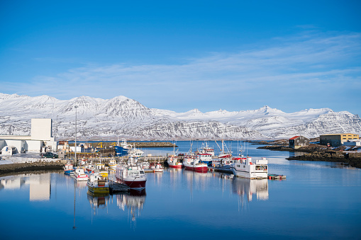 Iceland small Town Bay scenery