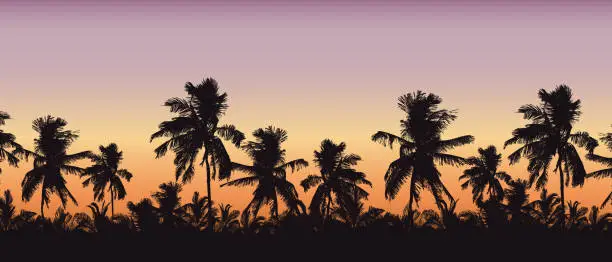 Vector illustration of Realistic silhouette of tree tops, palm trees in tropical landscape, with morning orange-pink sky and with space for text - vector