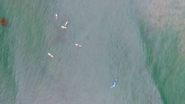 istock Surfers and sea waves, overhead aerial view 1138566925