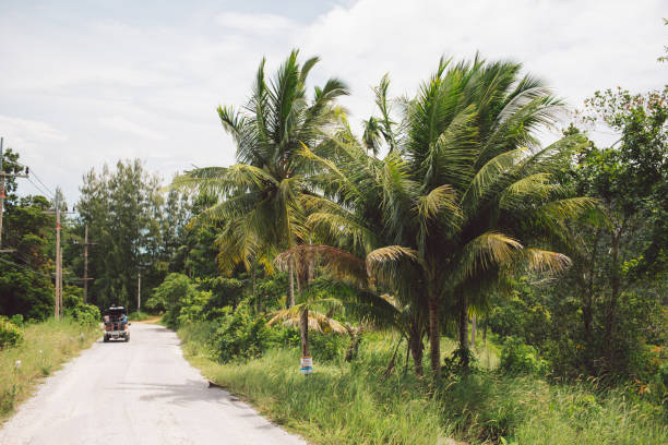 istock Road Amidst Trees Against Sky 1138571280