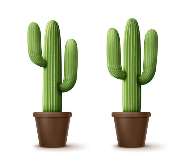 istock Vector illustration of cordon cactus or pachycereus pringlei, houseplants in pot isolated on background 1138571405