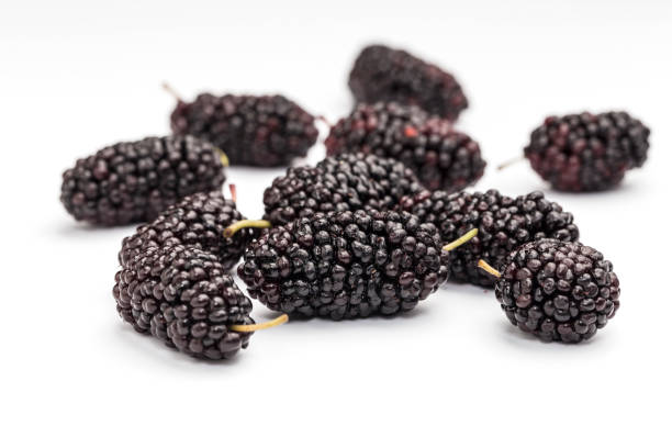 istock Fresh and delicious mulberries 1138571855