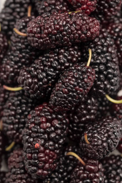 istock Fresh and delicious mulberries 1138571886