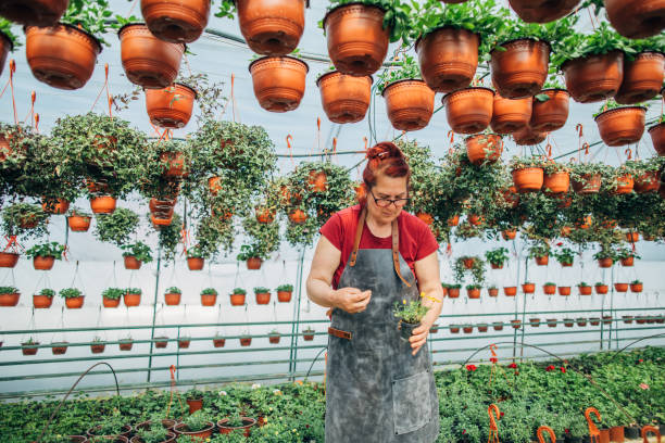 istock Lady working in flower greenhouse 1138573048