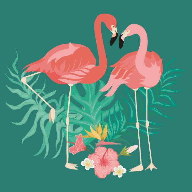 istock Tropical pink flamingo birds and exotic plants 1138573092