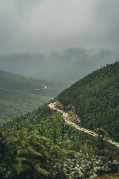 istock South African Roads 1138574026