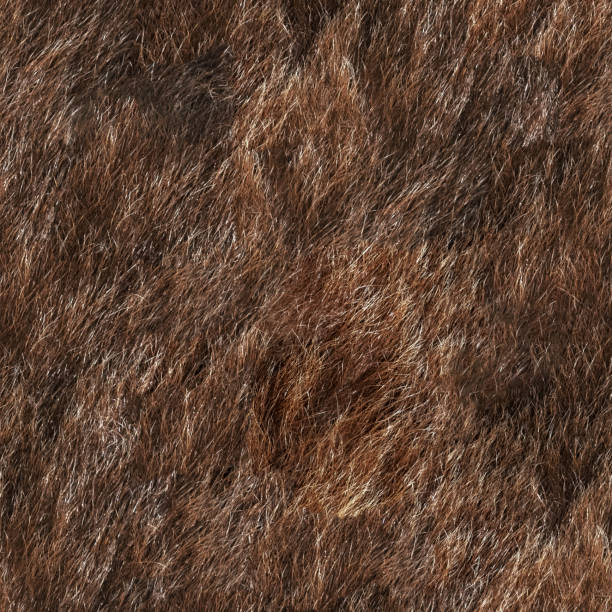 Seamless texture of animal fur